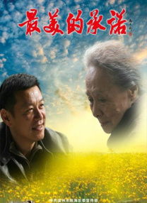 成人爽视频